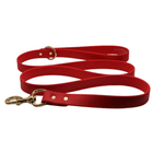 5 ft. Leash