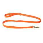 5 ft. Leash
